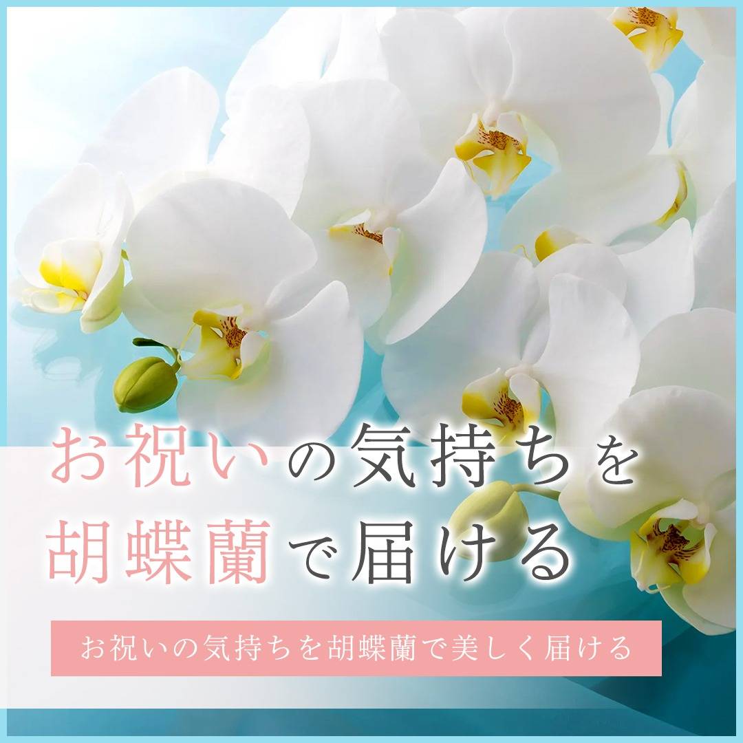popup_banner