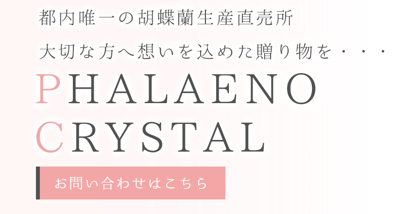大切な方へ想いを込めた贈り物
